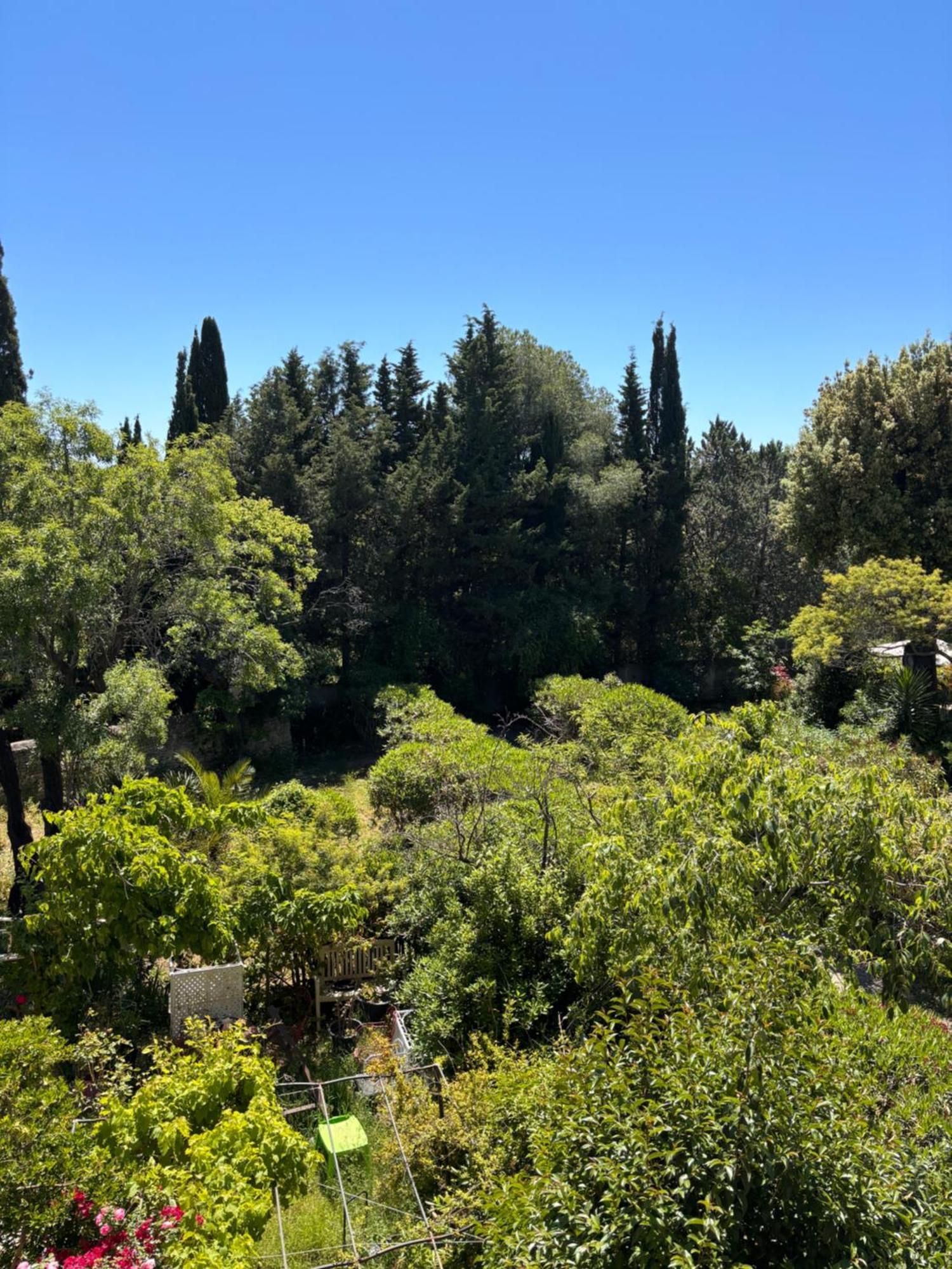 Beau Studio 300 M De La Plage Avec Parking Apartment La Ciotat Bagian luar foto